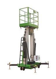 Platform Height Max 10m Double Mast Aluminum Vertical Lift Loading Capacity 200kg with Extension Platform